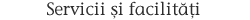 Vila Ambient - Servicii si facilitati
