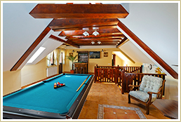 Click for entertainment gallery Ambient Villa - Entertainment